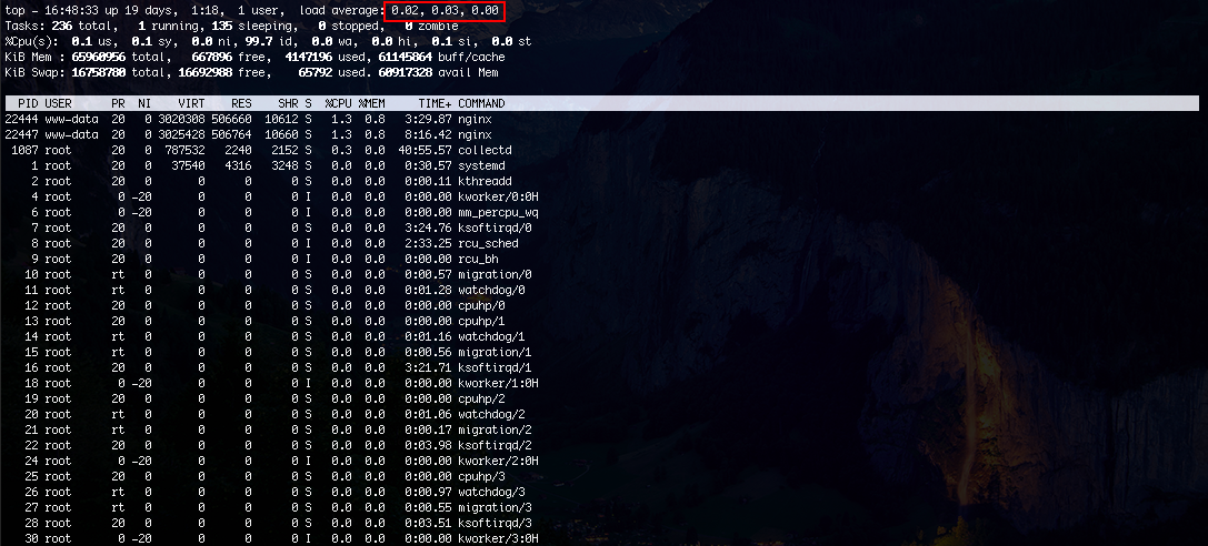 Use Linux top command to see system load